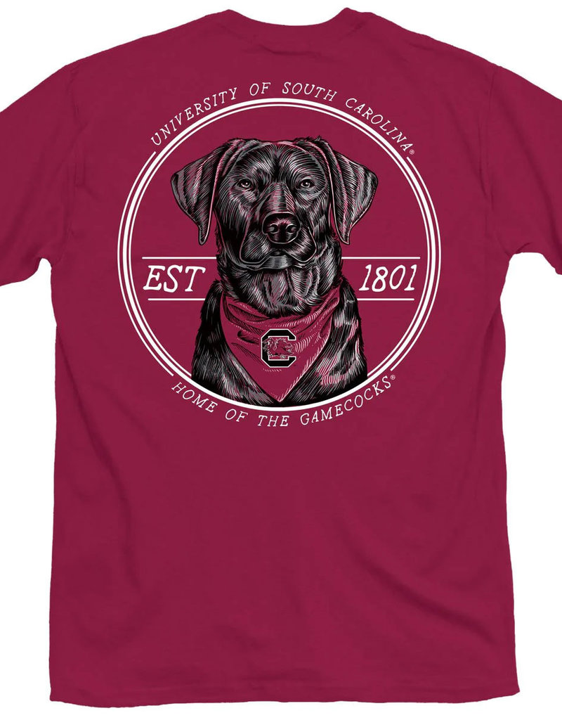 https://cdn.shoplightspeed.com/shops/623038/files/51358241/800x1024x1/gamecock-gc-bandana-lab.jpg