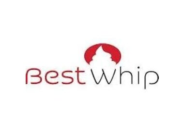 Best Whip