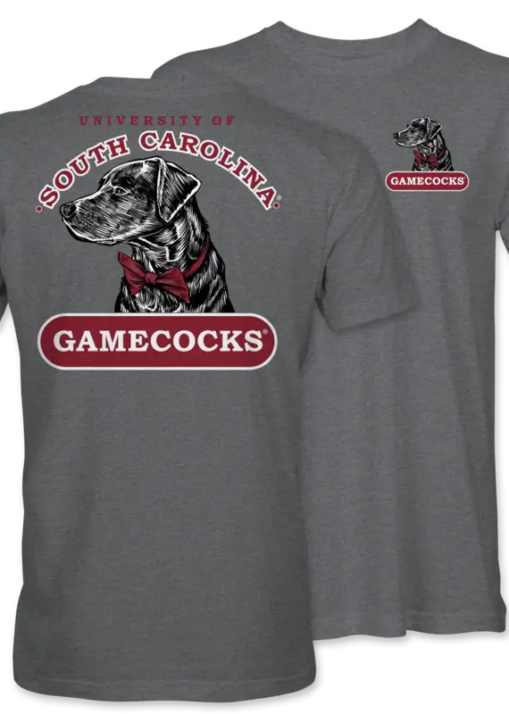 Gamecock GC Bowtie Lab