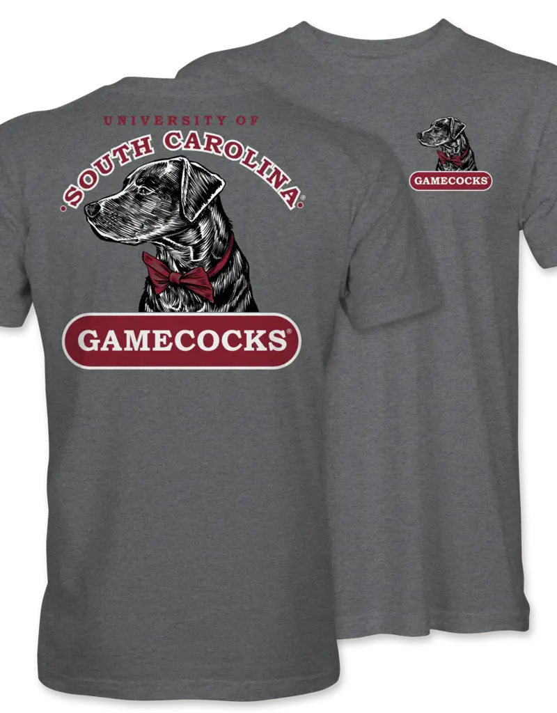 Gamecock GC Bowtie Lab