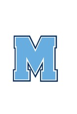 BLOCK M STICKER (REMOVABLE VINYL)