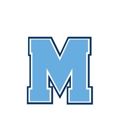 BLOCK M STICKER (REMOVABLE VINYL)
