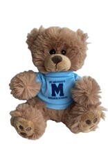 MINI TEDDY BEAR