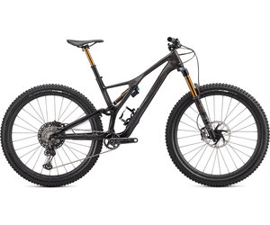 stumpjumper s works 2020