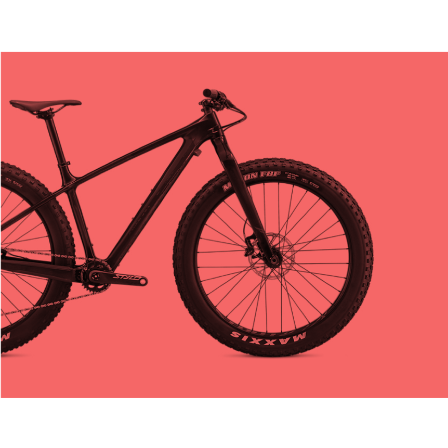 Fatbikes