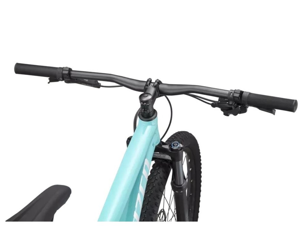 specialized rockhopper expert x1 2020 Shop The Best Discounts