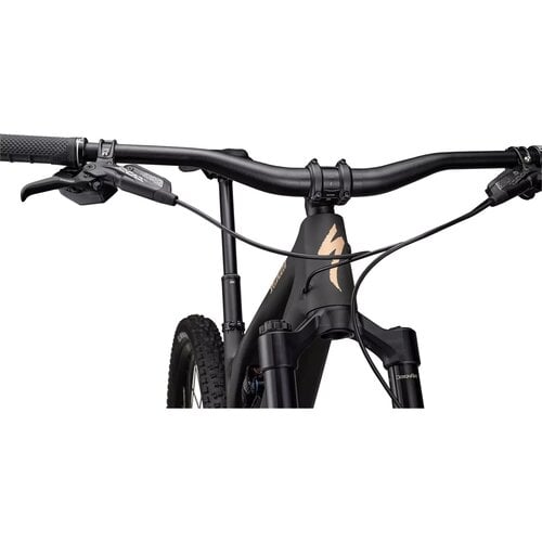 Specialized Specialized Stumpjumper Evo LTD | Mountain Bike