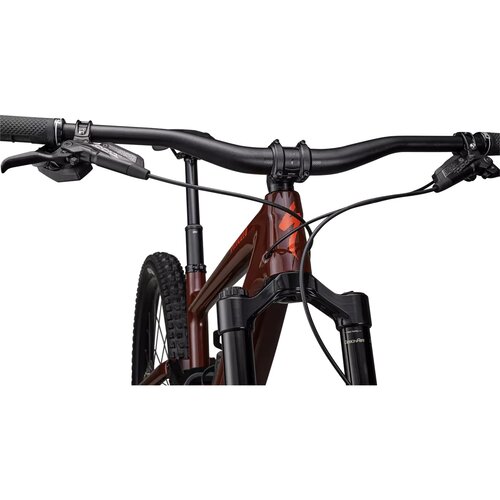 Specialized Specialized Enduro Expert | Mountain Bike