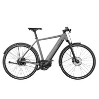 Roadster4 GT Vario 625WH Kiox 300 51cm - Grey Matt