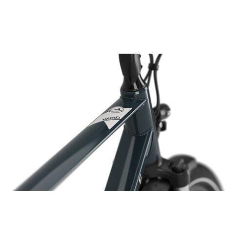 Gazelle Gazelle Medeo T9 HMB High-Step | Vélo Électrique