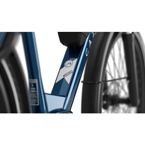 Gazelle Gazelle Medeo T9 HMB Low-Step | Vélo Électrique