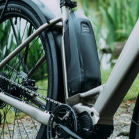 Local brands for high-level performance
