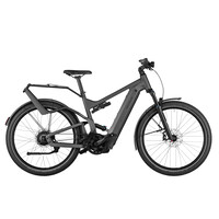 Delite4 GT Vario 750WH Kiox 500 47cm - Urban Grey Matt