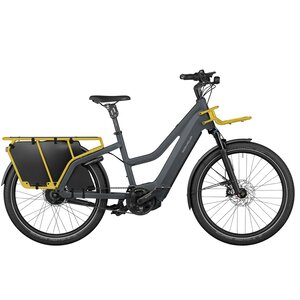 Riese & Muller Multicharger2 Mixte GT Vario ABS 750WH Kiox 300 47cm - Grey / Curry
