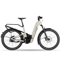 Homage5 GT Vario OS 800WH+Range Kiox 500 47cm  - Warm Silver