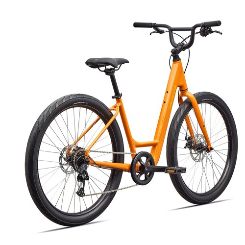 Specialized Specialized Roll 2.0 Low Entry | Hybrid Bike Specialized Specialized Roll 2.0 Low Entry | Hybrid Bike