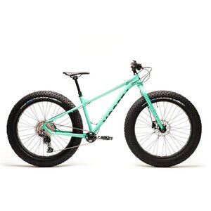 Moose Bicycle Fat Bike 2 V.1