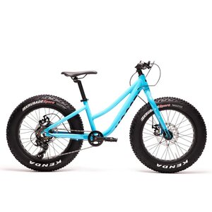 Moose Bicycle Fat Moose 20