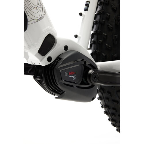 Moose Bicycle Moose Bicycle Manic 2 | Electric Bike