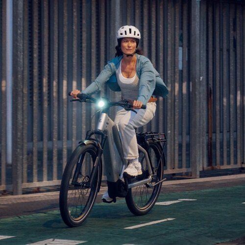 Riese & Muller Riese & Muller Charger5 Mixte Vario 800WH Kiox 500 49cm - Magnesium | Electric Bike