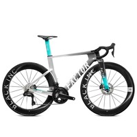 One Ultegra Di2