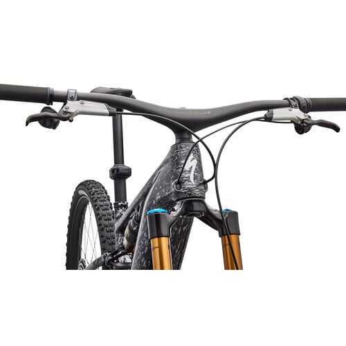 Specialized Specialized S-Works Turbo Levo R | Electric Bike