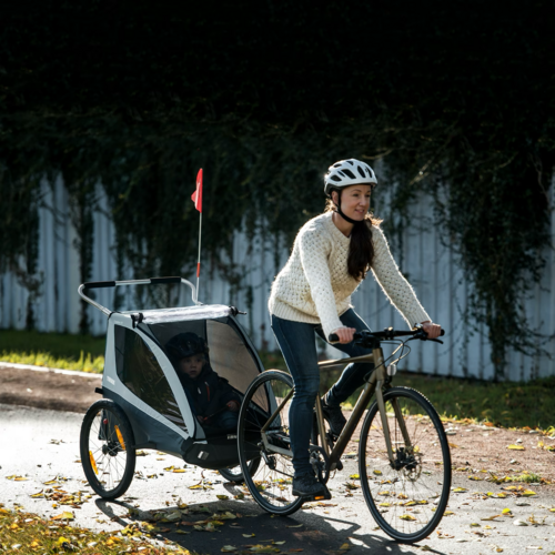 Thule Thule Coaster XT | Remorque à Vélo pour Enfants & Poussette Thule Thule Coaster XT | Remorque à Vélo pour Enfants & Poussette