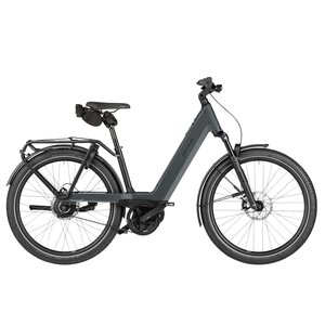 Riese & Muller Nevo5 Vario 800WH Kiox 500 w/ Carrier 50cm - Gris Ardoise