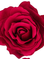 RED Hair Snap Clips Flowers RED