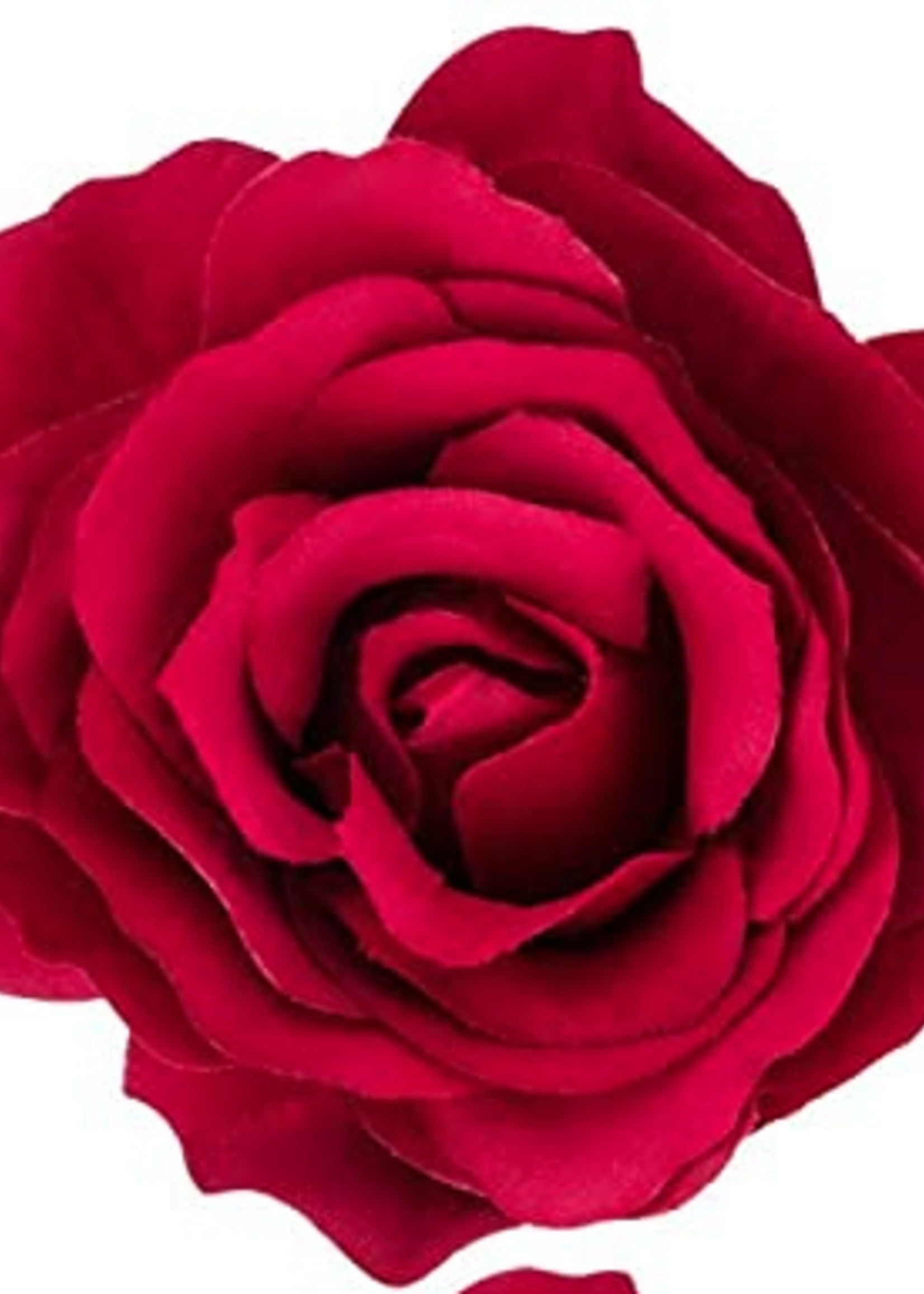 RED Hair Snap Clips Flowers RED