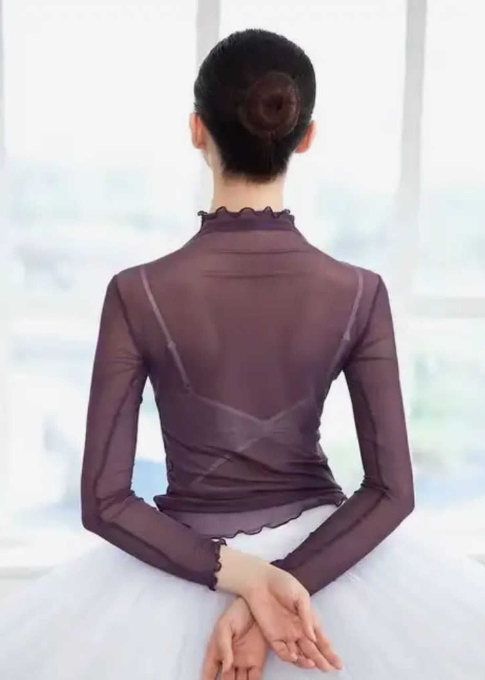 DD Mesh Long Sleeve Top 1/25