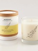 Scripted Fragrance Scripted Fragrance Monthly Candle