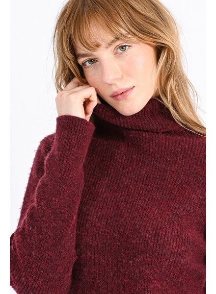 Molly Bracken Knit Turtleneck Sweater