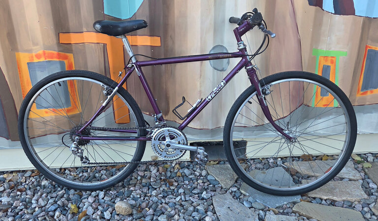 Moots Mountaineer Vtinage Steel Bike in Purple