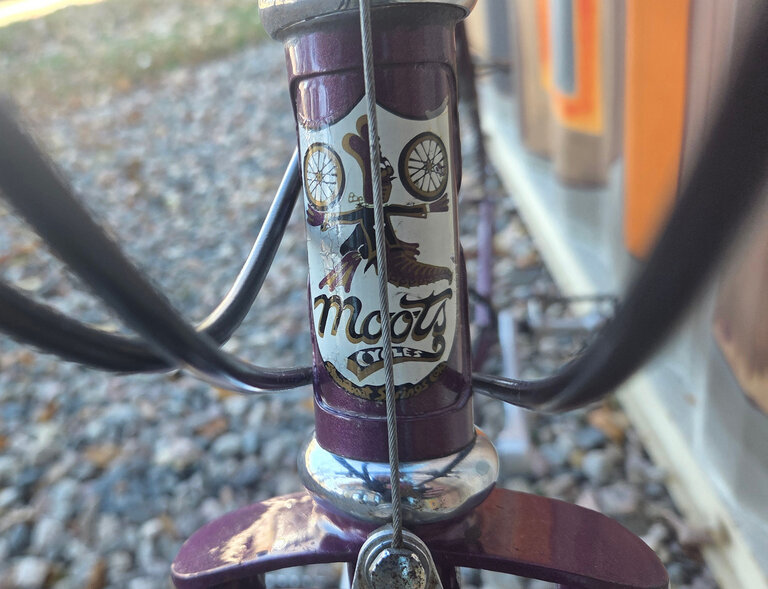 Moots Mountaineer Vtinage Steel Bike in Purple