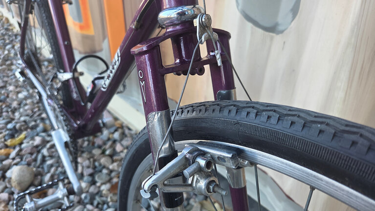 Moots Mountaineer Vtinage Steel Bike in Purple