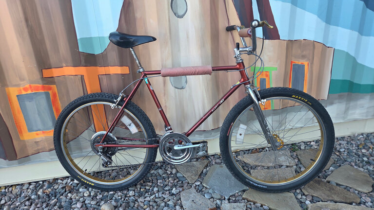 Schwinn Sidewinder 1980's Mountain Bike