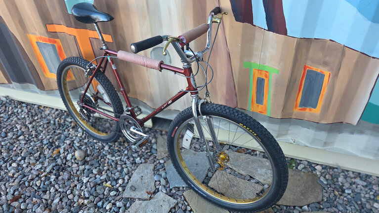 Schwinn Sidewinder 1980's Mountain Bike