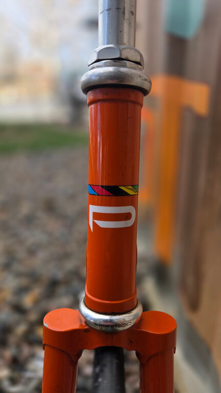 Schwinn Paramount Track Bike 1989