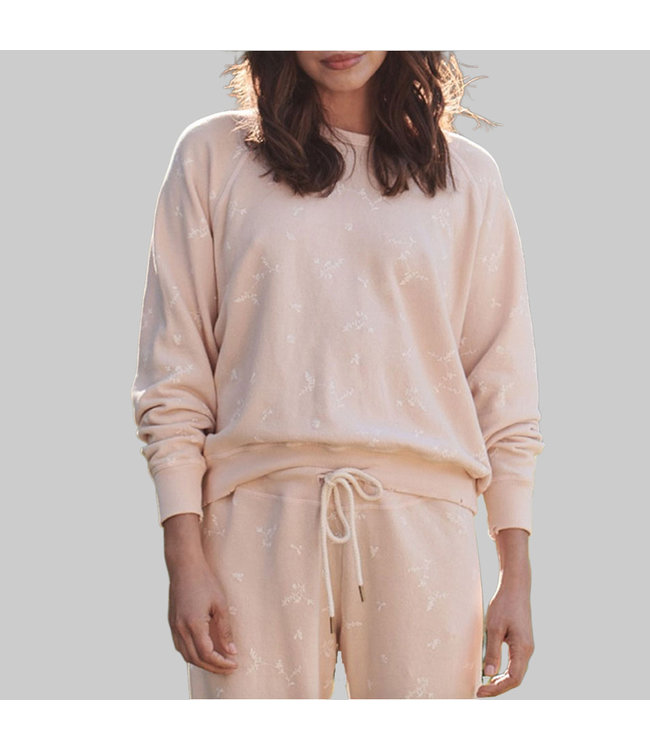 the great sweatshirt