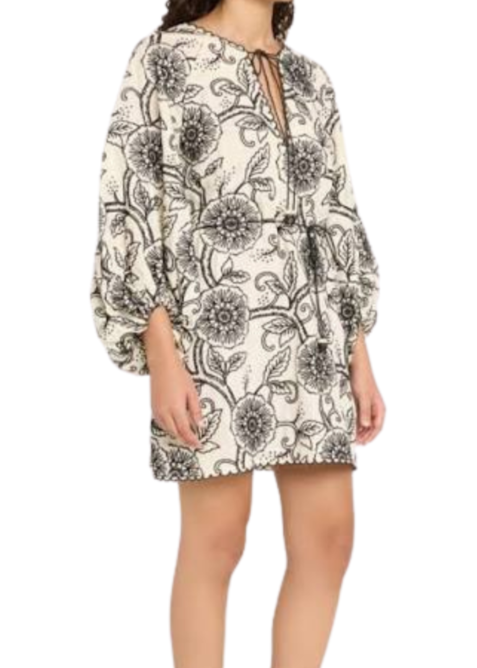 ZIMMERMANN TALLOW EMBRODIERED MINI DRESS
