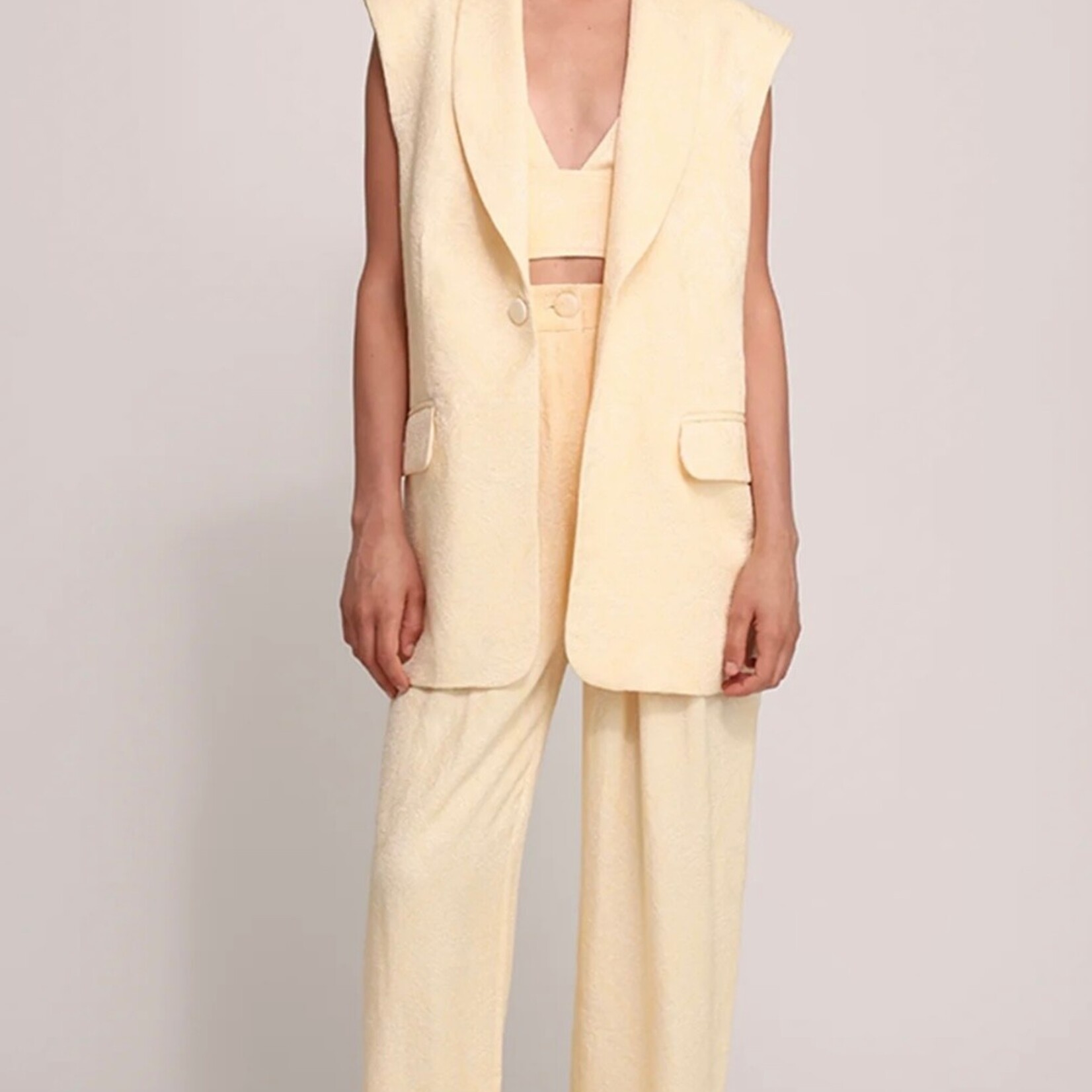 SABINA MUSAYEV RIAN VEST