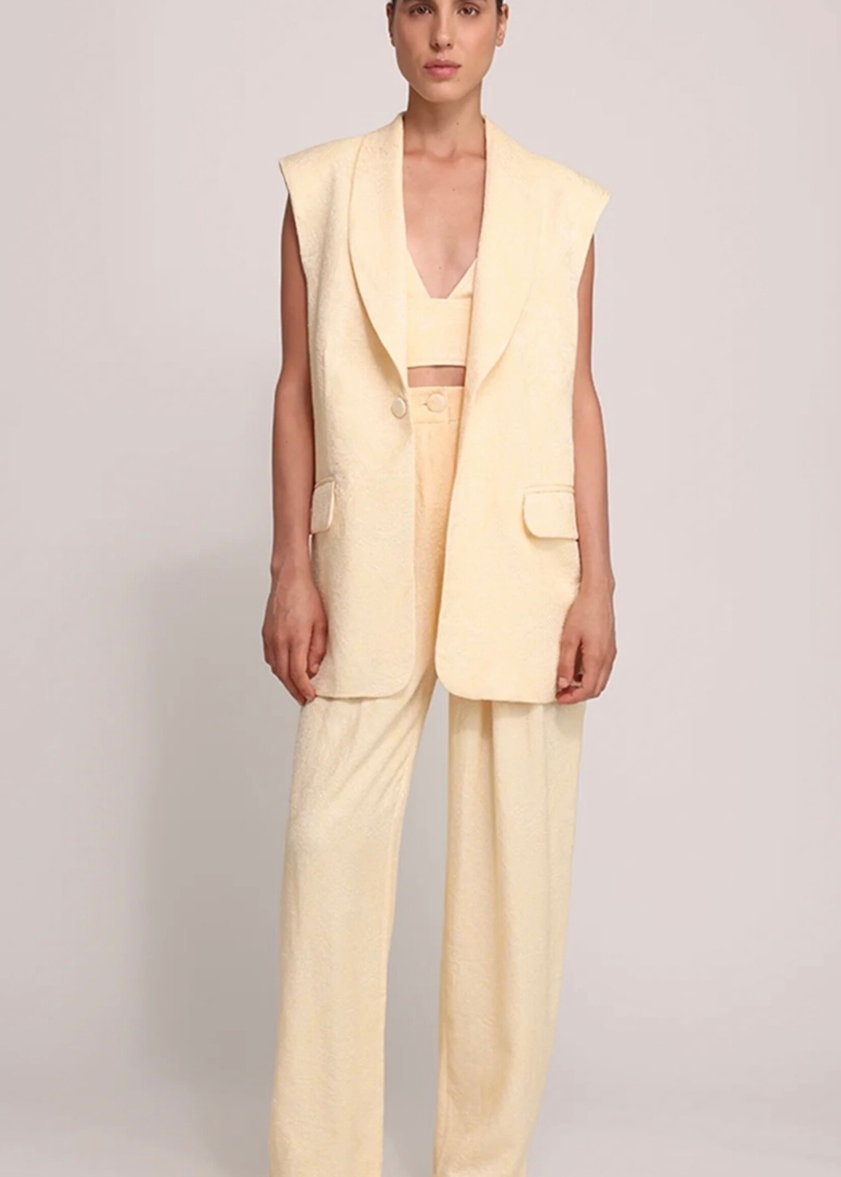 SABINA MUSAYEV RIAN VEST