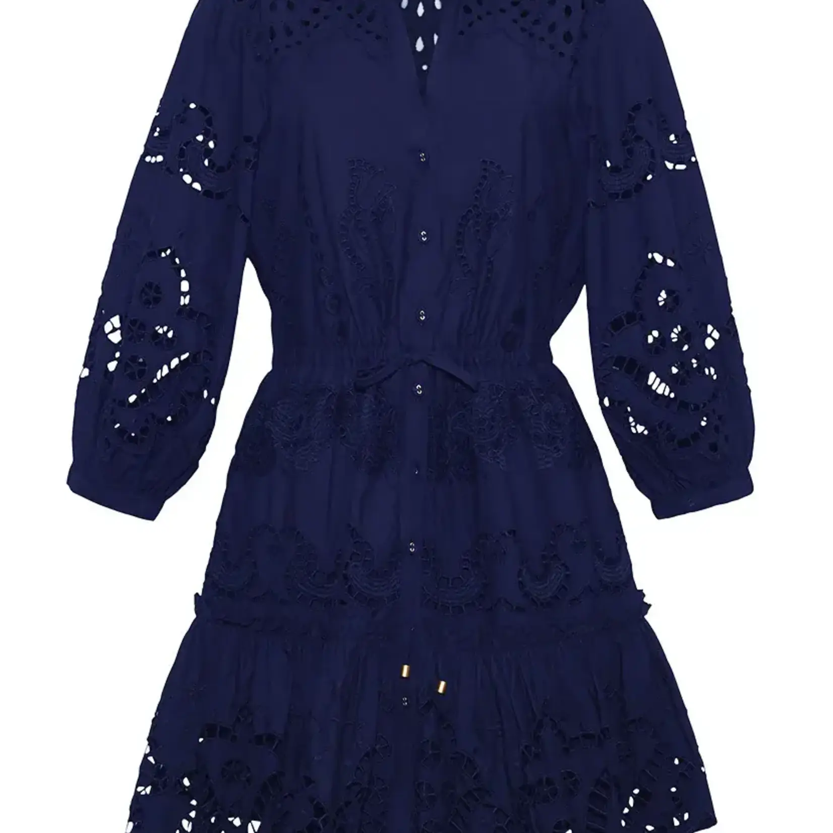 CARA CARA ROBIN EMBORIDERED MINI DRESS