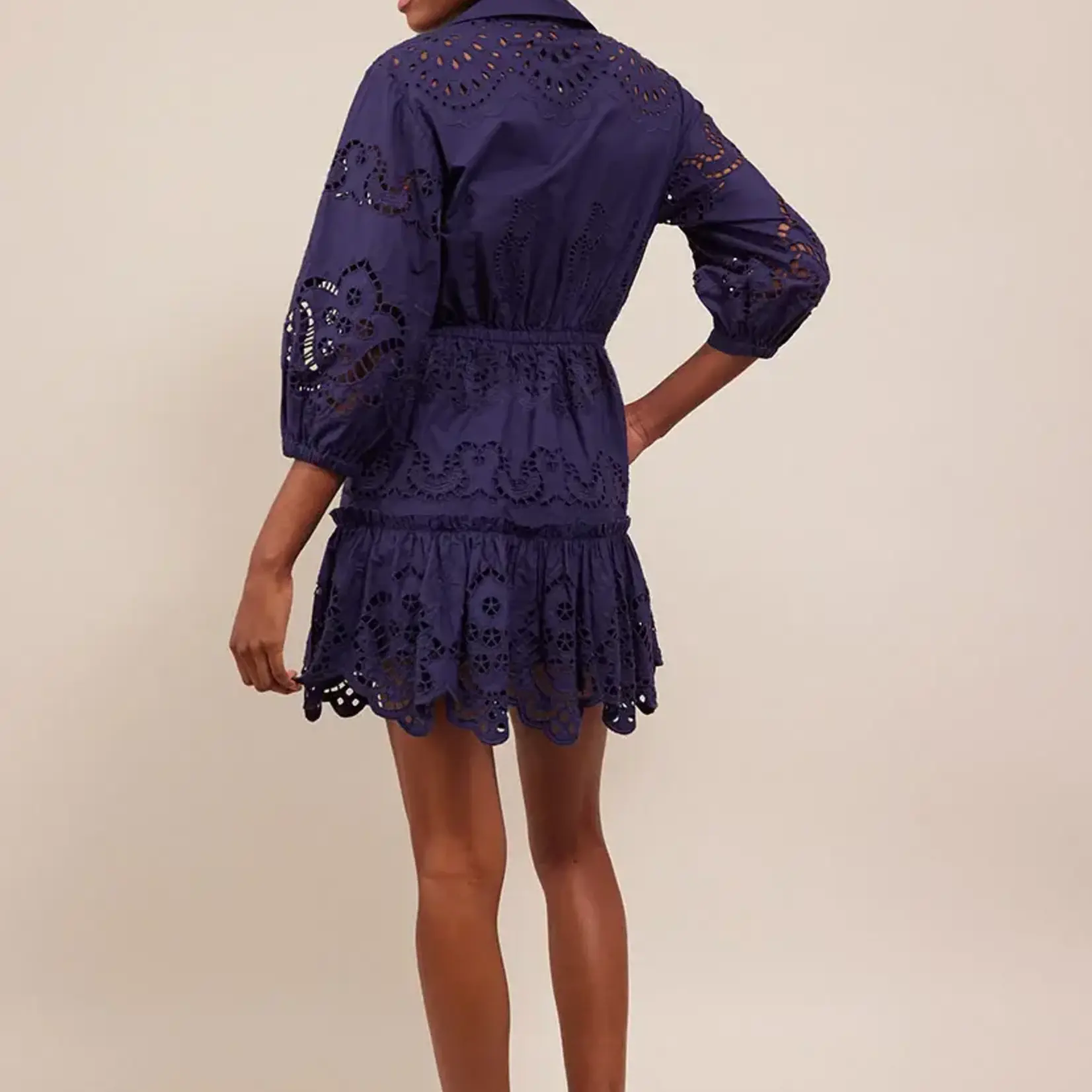 CARA CARA ROBIN EMBORIDERED MINI DRESS