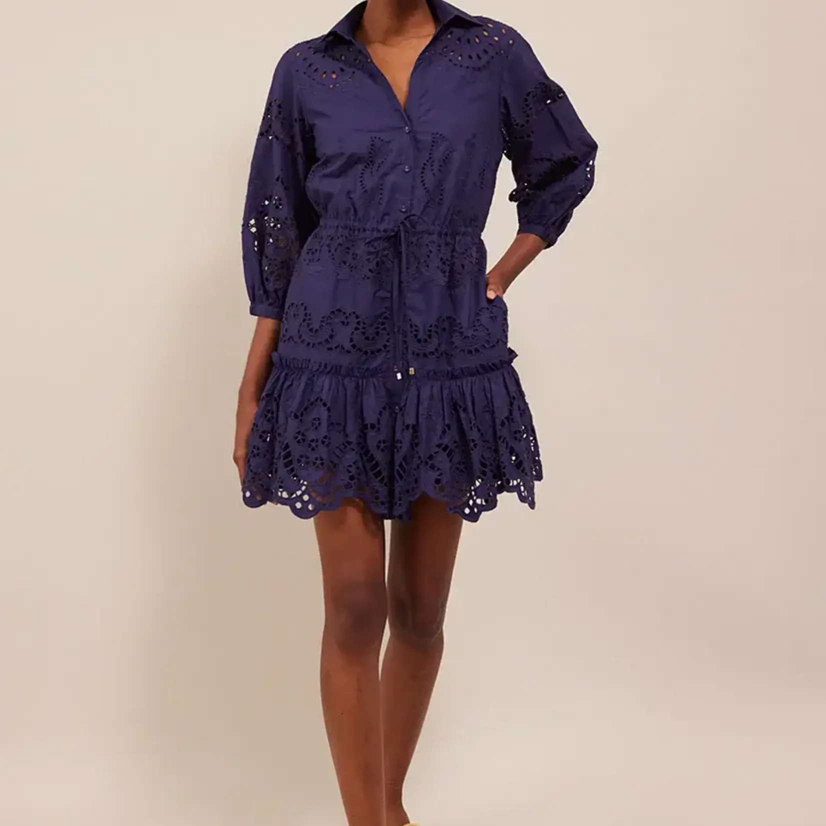 CARA CARA ROBIN EMBORIDERED MINI DRESS