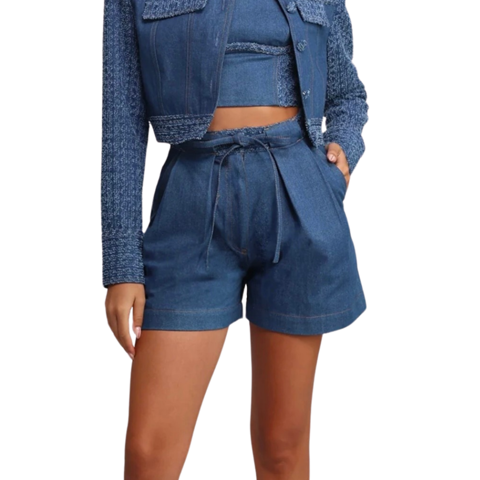 SABINA MUSAYEV GRAY BERMUDA SHORTS