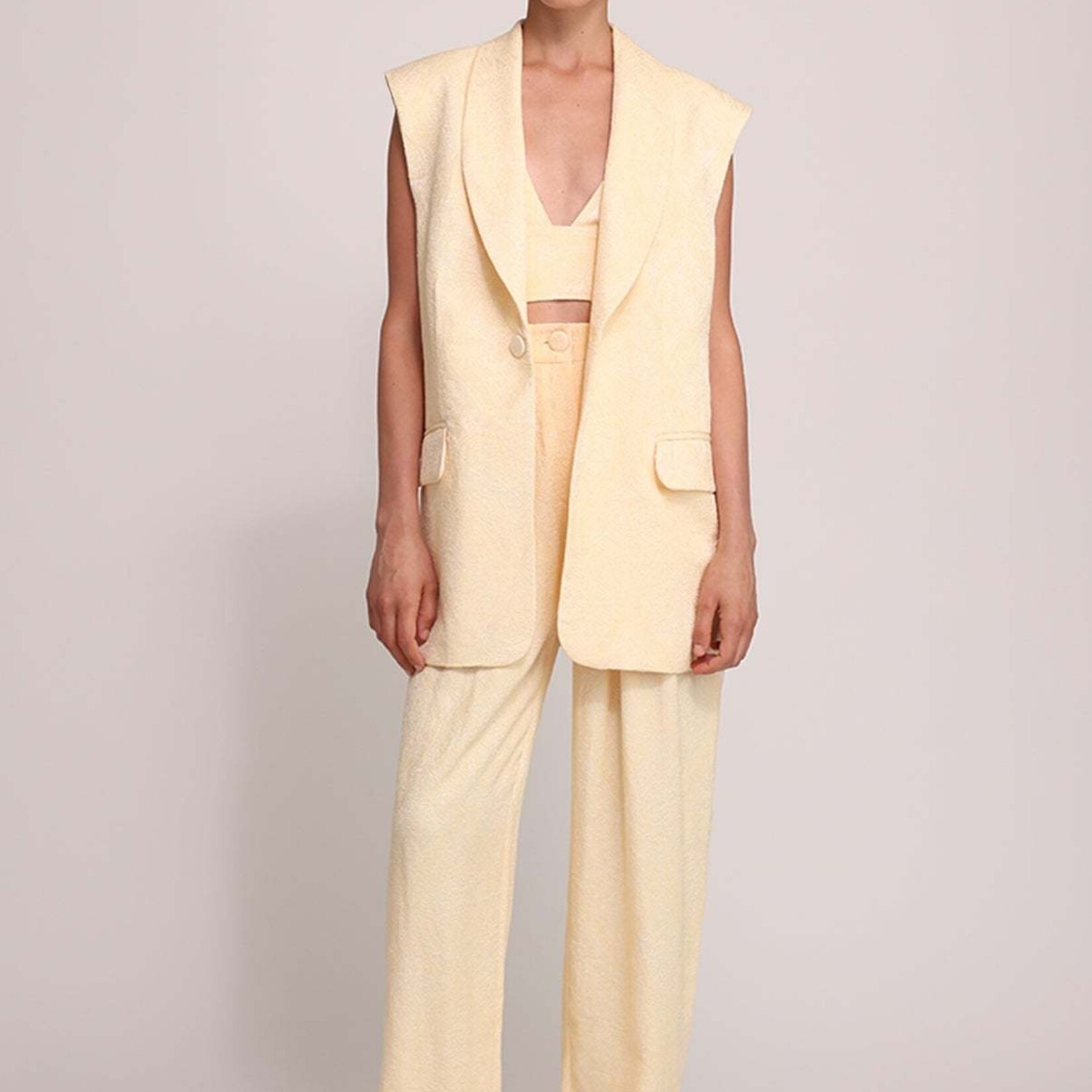 SABINA MUSAYEV RIAN VEST