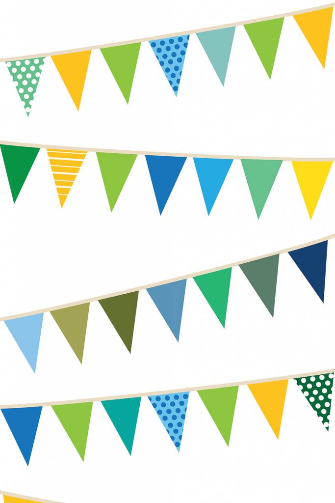 Savage 53 x18 Party Banners Tuttle Cameras