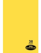 Savage Savage 38 Canary 107"